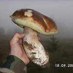 Horska Stara Horaren 1