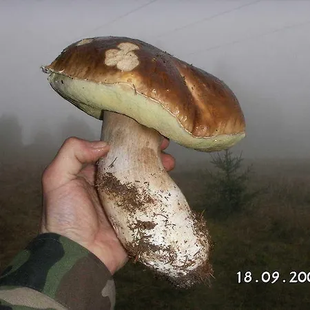 Horska Stara Horaren 1