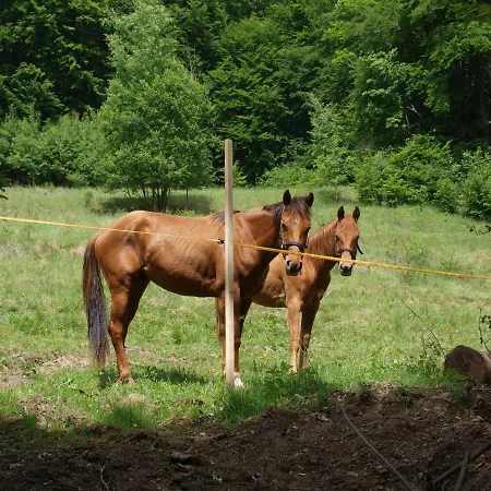 Horska Chata Stara Horaren 1 Dobsina